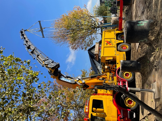 TakeldienstVDC Verhuur Kranen